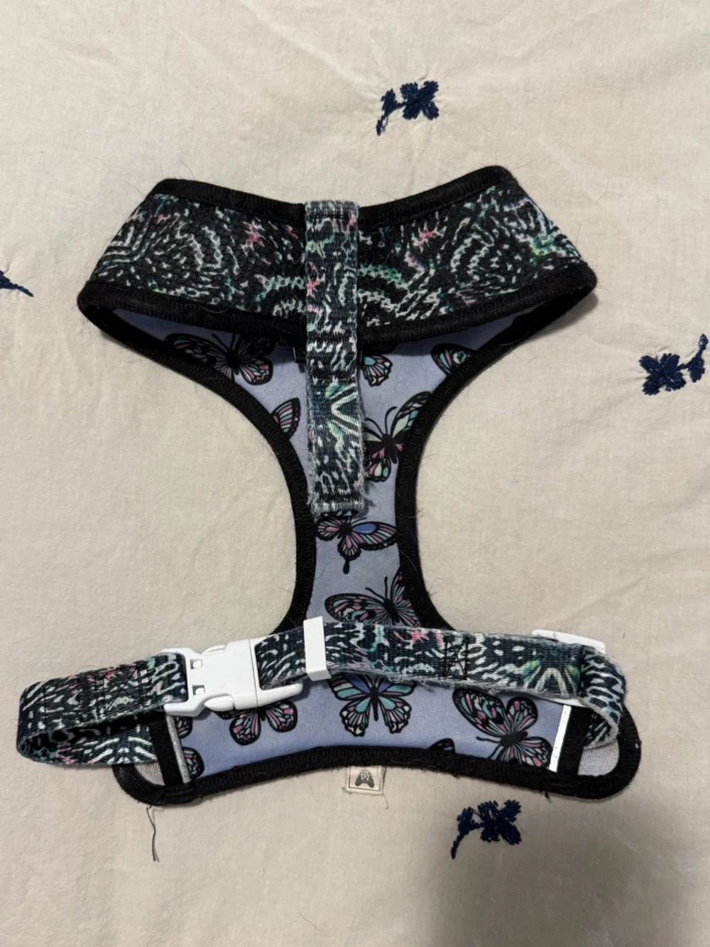 Frenchie harness butterfly Print